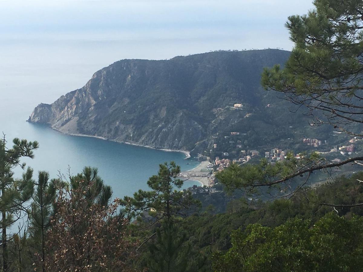 B&B Le Bouganville Lavagna Esterno foto